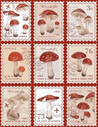 PRE ORDER- Mushroom Stamp Skirt - Short Version - nightwhisper